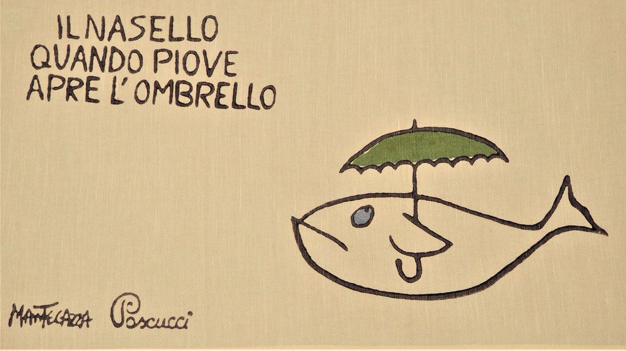 NASELLO